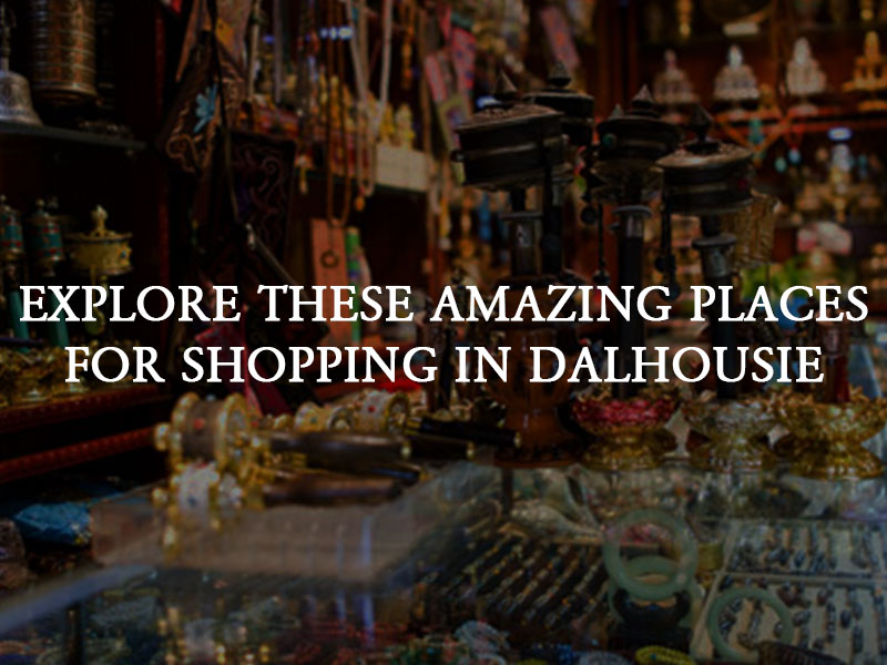 Explore These Amazing Places For Shopping In Dalhousie Elgin Hall