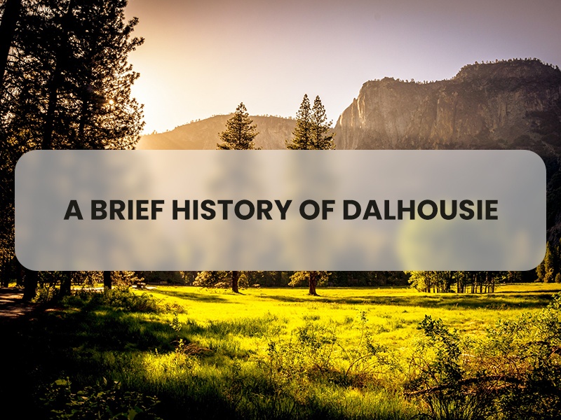 A BRIEF HISTORY OF DALHOUSIE