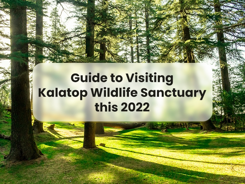 Guide to Visiting Kalatop Wildlife Sanctuary this 2022