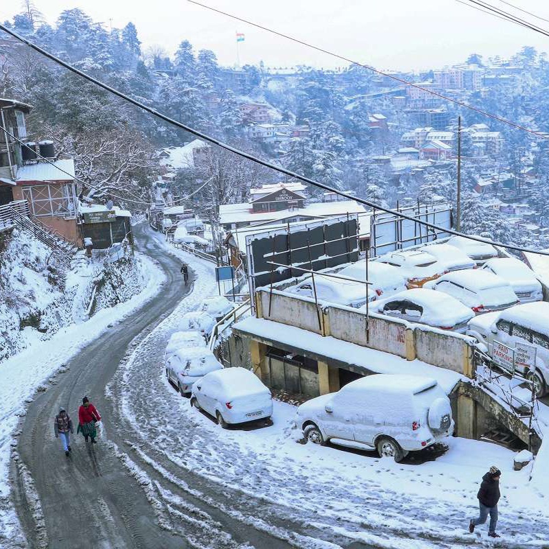 Shimla