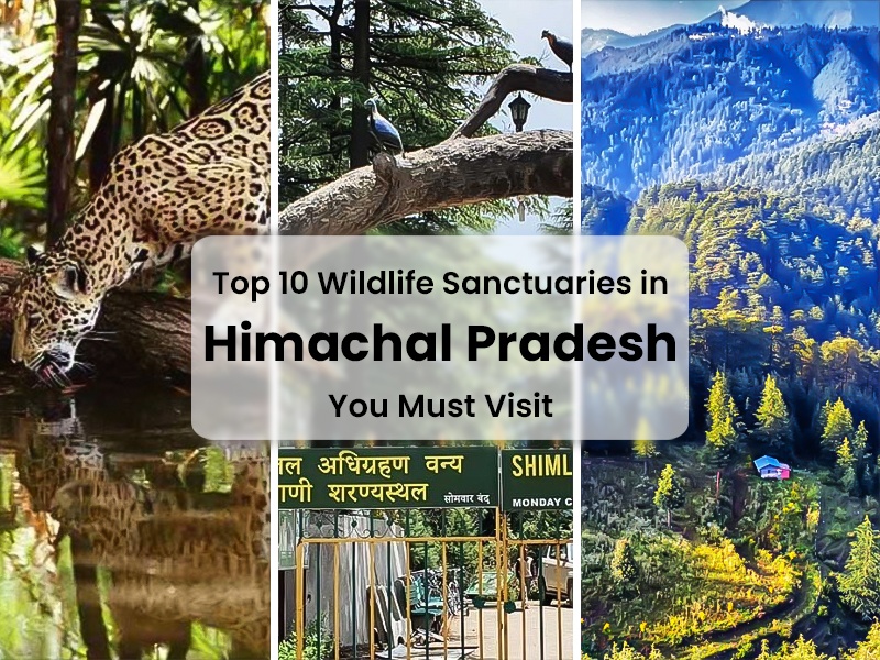 TOP 10 WILDLIFE SANCTUARIES IN HIMACHAL PRADESH YOU MUST VISIT