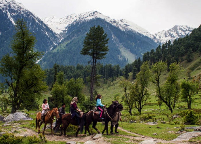 EXPERIENCE THE SCENIC BEAUTY WHILE HORSERIDING