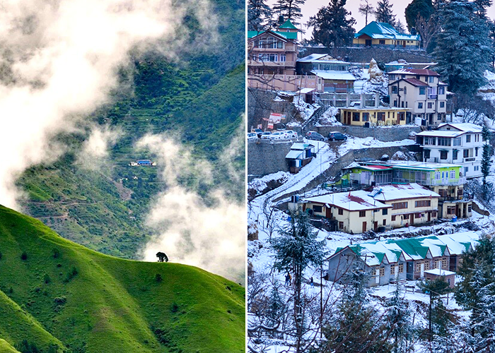 himachal pradesh tourism articles