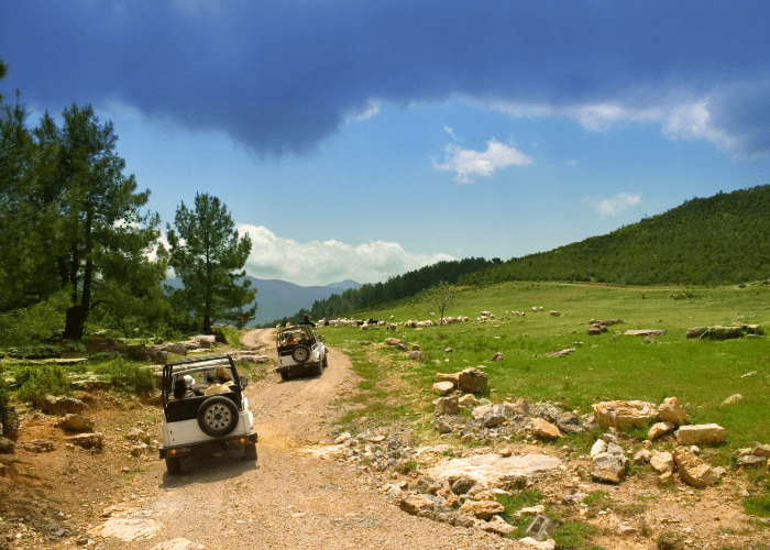 Jeep Safari (Adventure Activities In Dalhousie)