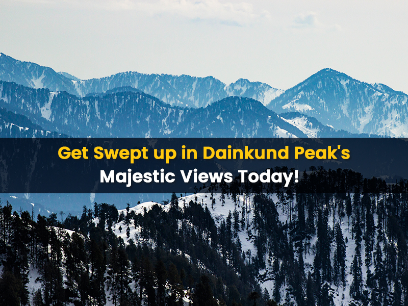 Get Swept up in Dainkund Peak's Majestic Views Today