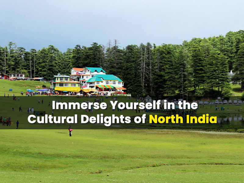 Immerse Yourself in the Cultural Delights of North India
