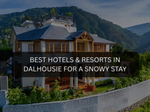 Best Hotel in Dalhousies