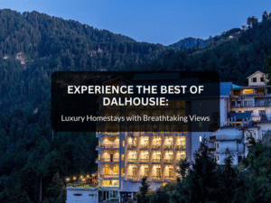 Experience the Best of Dalhousie: Luxury Homestays with Breathtaking Views